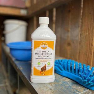 product/c/h/chick-a_603_ambree_2.jpg