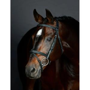 1025191001-bridon-equitation-hanovrienne-rembourree-collegiate-comfitec-opulux-fancy-stitch-black