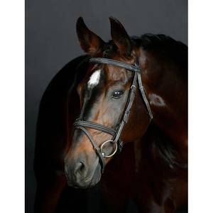 1025191005-bridon-equitation-hanovrienne-rembourree-collegiate-comfitec-opulux-fancy-stitch-dark-brown