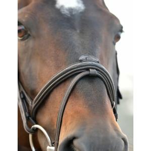 product/c/o/collegiate_1025191005_dark-brown_7.jpg