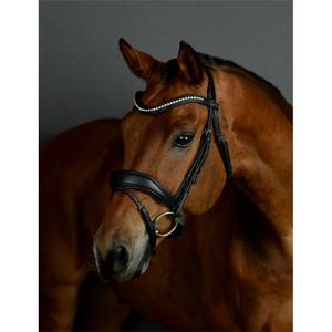 1025192001-bride-equitation-de-dressage-rembourree-collegiate-comfitec-opulux-black