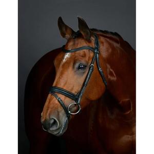 1025193001-bridon-equitation-flash-hanovrienne-rembourree-collegiate-comfitec-opulux-black