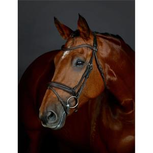 1025193005-bridon-equitation-flash-hanovrienne-rembourree-collegiate-comfitec-opulux-dark-brown