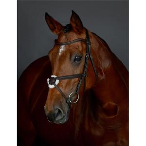 1025195001-bridon-equitation-de-quiscale-rembourree-collegiate-comfitec-opulux-black