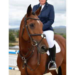 product/c/o/collegiate_1025195003_dark-brown_2.jpg
