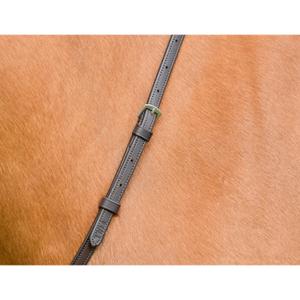 product/c/o/collegiate_1025461005_dark-brown_2.jpg