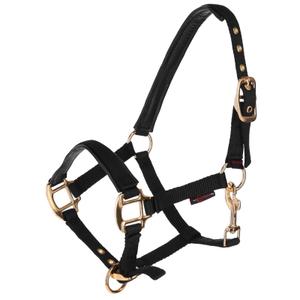 3224748-licol-pour-cheval-covalliero-topline-black-foal