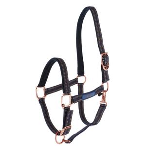 3228177-licol-pour-cheval-covalliero-royal-bleu-caramel-foal