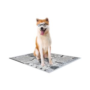 c6028721-tapis-pour-chien-croci-canifrance-super-nappy-newspaper-x60-blanc-tu