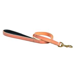 lsclass-11-100-laisse-pour-chien-3-positions-bobby-walk-beige-2x100-cm