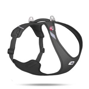 pn3403-harnais-pour-chien-curli-belka-air-mesh-noir