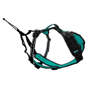 cy6031-harnais-pour-chien-cynnotek-symbioz-noir-turquoise