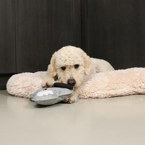 product/d/-/d-d-home_304-471876_4.jpg