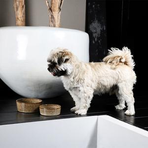 product/d/-/d-d-home_621-462904_2.jpg