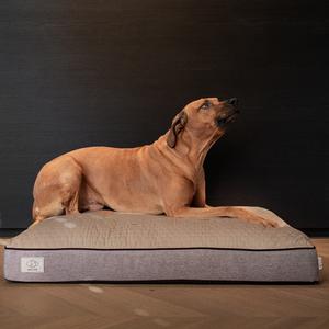 product/d/-/d-d-home_671-467459_3.jpg
