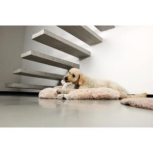 product/d/-/d-d-home_671-472408_2.jpg