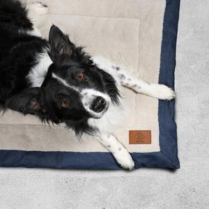 product/d/-/d-d-home_677-444900_1.jpg