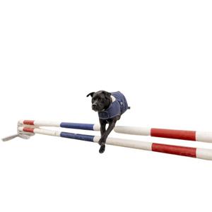 product/d/i/diego-louna_409030726_3.jpg