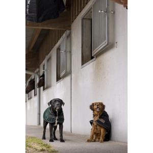 4090312-couverture-pour-chien-en-nylon-diego-louna-teddy-noir