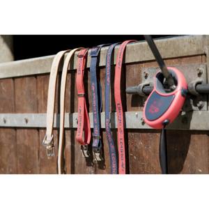 409250040-collier-pour-chien-en-nylon-diego-louna-corail-anthracite-40-cm-x-2-cm