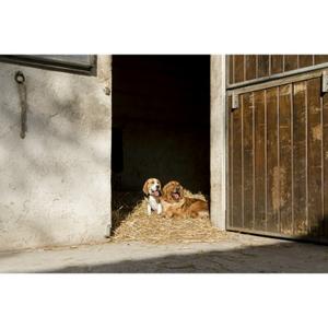 product/d/i/diego-louna_409210050_4.jpg