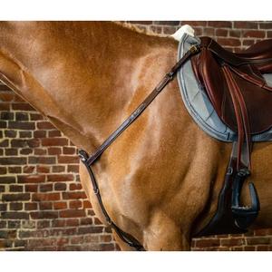 dy06abrc-collier-de-chasse-pour-cob-dy-on-brun-cob