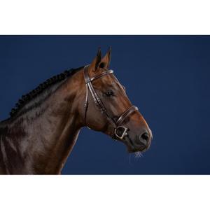 product/d/y/dyon_uskdalbrf_brown_2.jpg
