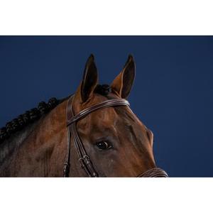 product/d/y/dyon_uskdalbrf_brown_3.jpg