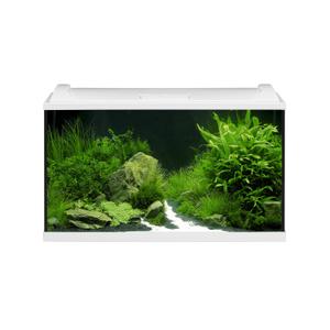 product/e/h/eheim_eh0340899_blanc_1.jpg