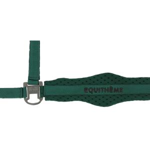 510261009-licol-pour-cheval-equitheme-3d-mesh-vert