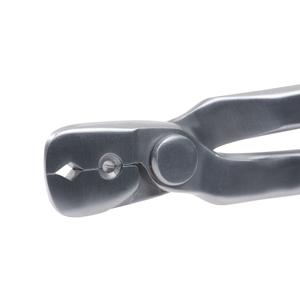 product/e/k/ekkia_700_926_det1_1.jpg
