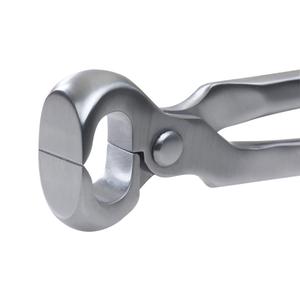product/e/k/ekkia_700_932_det1_1.jpg