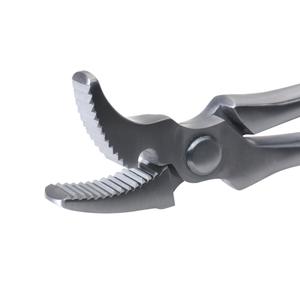 product/e/k/ekkia_700_939_det1_1.jpg