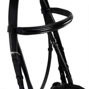 product/e/q/equestro_br00690-black_black_10.jpg