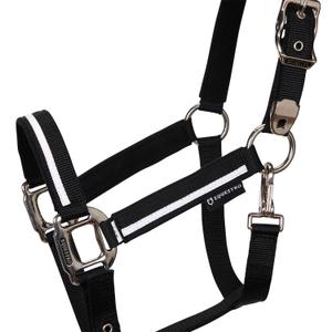 product/e/q/equestro_ca00031-black_black_black-black_2.jpg