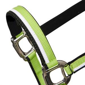 product/e/q/equestro_ca00031-lime_black_lime-black_2.jpg