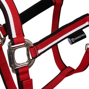 product/e/q/equestro_ca00031-red_black_red-black_2.jpg