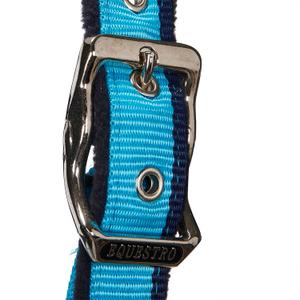 product/e/q/equestro_ca00031r-turquoise_red_navy_ca00031r-turquoise-red-navy_4.jpg