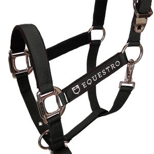 product/e/q/equestro_ca00032-black_black_2.jpg