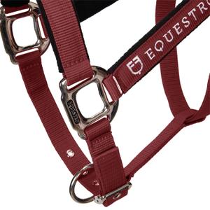 product/e/q/equestro_ca00032-burgundy_burgundy_7.jpg