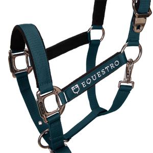 product/e/q/equestro_ca00032-huntergreen_huntergreen_2.jpg