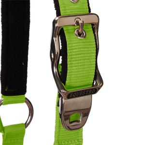 product/e/q/equestro_ca00032-lime_lime_3.jpg
