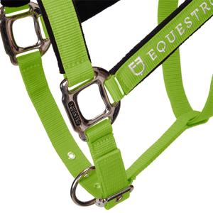 product/e/q/equestro_ca00032-lime_lime_7.jpg