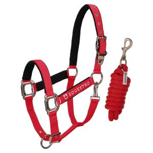ca00032-red-licol-pour-cheval-avec-longueur-equestro-modello-shiny-fittings-red
