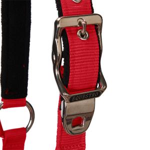 product/e/q/equestro_ca00032-red_red_3.jpg