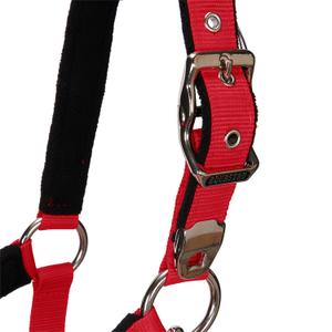 product/e/q/equestro_ca00032-red_red_5.jpg
