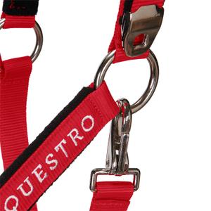 product/e/q/equestro_ca00032-red_red_6.jpg
