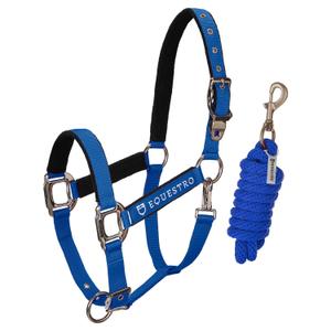ca00032-royalblue-licol-pour-cheval-equestro-shiny-fittings-royalblue