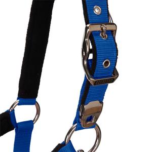 product/e/q/equestro_ca00032-royalblue_royalblue_5.jpg