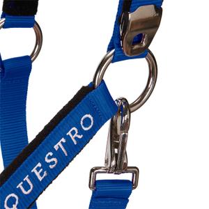 product/e/q/equestro_ca00032-royalblue_royalblue_6.jpg